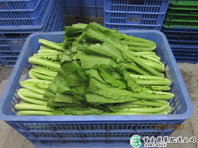 万江有机龙8唯一官网公司