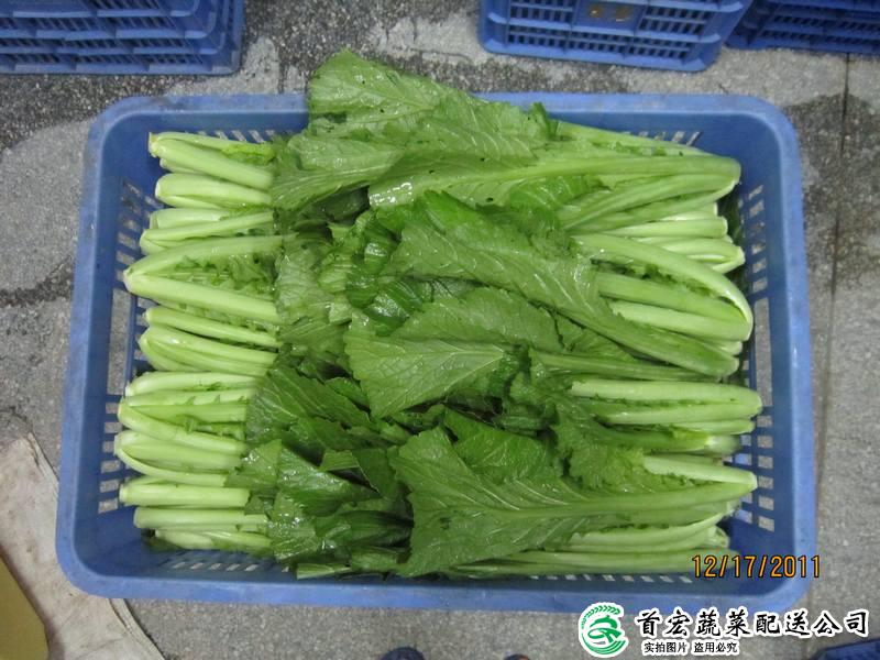南城食堂龙8唯一官网中心